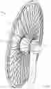 Fig. 05 - Habitable support structure for observation wheels