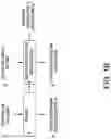 Fig. 03 - Oilseed extraction method
