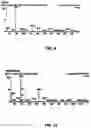 Fig. 06 - Method for extraction of ethyl maltol from passion flower
