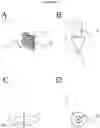 Fig. 12 - Electrosorptive cavitation devices and methods for phase separation