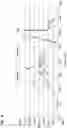 Fig. 08 - Housing for filter element; filter element; methods of use and making