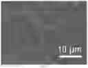 Fig. 12 - METHOD FOR PREPARING MICROSTRUCTURE ARRAYS ON THE SURFACE OF THIN FILM MATERIAL