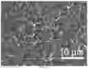 Fig. 14 - METHOD FOR PREPARING MICROSTRUCTURE ARRAYS ON THE SURFACE OF THIN FILM MATERIAL