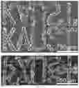 Fig. 22 - METHOD FOR PREPARING MICROSTRUCTURE ARRAYS ON THE SURFACE OF THIN FILM MATERIAL