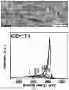 Fig. 23 - METHOD FOR PREPARING MICROSTRUCTURE ARRAYS ON THE SURFACE OF THIN FILM MATERIAL