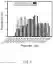 Fig. 06 - FILTER ELEMENT AND METHOD OF MANUFACTURING THE SAME