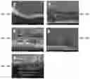 Fig. 21 - Lithium ion conducting membranes