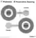 Fig. 06 - Neutralization and containment of redox species produced by circumferential electrodes