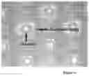 Fig. 07 - Neutralization and containment of redox species produced by circumferential electrodes