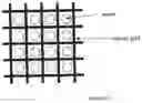 Fig. 13 - Neutralization and containment of redox species produced by circumferential electrodes