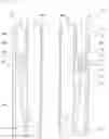 Fig. 04 - PLASMA TREATMENT APPARATUS