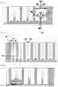 Fig. 10 - Microtiter plate and uses thereof