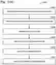 Fig. 55 - Detection method for a target nucleic acid
