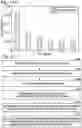 Fig. 58 - Detection method for a target nucleic acid