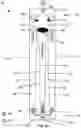 Fig. 07 - Vented converging capillary biological sample port and reservoir