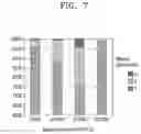 Fig. 09 - Method and Device for Encapsulating Cell in Liquid Droplet for Single-Cell Analysis