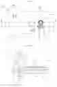Fig. 19 - DEVICES AND METHODS FOR NUCLEIC ACID EXTRACTION