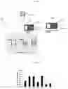 Fig. 30 - DEVICES AND METHODS FOR NUCLEIC ACID EXTRACTION