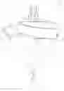 Fig. 01 - Spinning showerhead