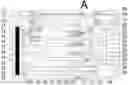 Fig. 01 - Keyboard cleaning accessory