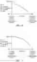 Fig. 05 - CONTINUOUS CASTING APPARATUS AND METHOD