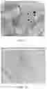 Fig. 07 - Method for additive manufacturing with modified powder