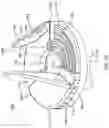 Fig. 06 - Cutting tool for scoring a hose over a fitting