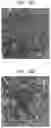 Fig. 17 - Laser-produced porous surface