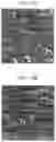 Fig. 19 - Laser-produced porous surface