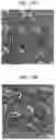 Fig. 22 - Laser-produced porous surface
