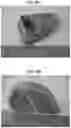 Fig. 44 - Laser-produced porous surface