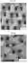 Fig. 57 - Laser-produced porous surface