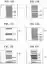 Fig. 08 - Inkjet recording apparatus, printer, and method for manufacturing cured product