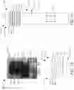 Fig. 04 - Systems and methods for locking and stabilizing a wheel cover assembly