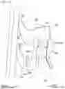 Fig. 11 - Automotive door sealing structure
