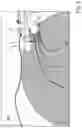 Fig. 03 - Method for operating a headlight of a vehicle, and high beam assist system