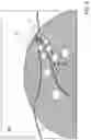 Fig. 09 - Method for operating a headlight of a vehicle, and high beam assist system