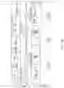 Fig. 17 - Scene classification prediction