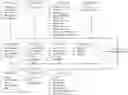 Fig. 01 - Exhaustive driving analytical systems and modelers