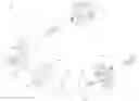 Fig. 01 - Reducer of electric power steering apparatus