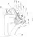 Fig. 04 - Velocipede having split drive train