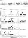 Fig. 02 - IMMOBILISATION OF NUCLEIC ACIDS ON SURFACES