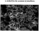 Fig. 01 - METHOD FOR THE SYNTHESIS OF NANOFLUIDS