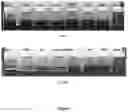 Fig. 08 - Facile direct functionalization of pristine graphene nanoparticles