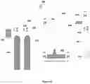 Fig. 10 - Facile direct functionalization of pristine graphene nanoparticles