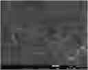 Fig. 01 - Plate-shaped hydrotalcite with high aspect ratio, method for manufacturing same and resin composition