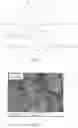 Fig. 02 - Lithiated material