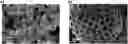 Fig. 01 - Iridium and / or iridium oxide microsphere-based porous material, preparation method therefor, and uses thereof