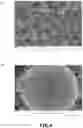 Fig. 03 - Iridium and / or iridium oxide microsphere-based porous material, preparation method therefor, and uses thereof