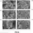 Fig. 05 - Iridium and / or iridium oxide microsphere-based porous material, preparation method therefor, and uses thereof